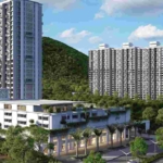 2ed902d6-3a11-4bae-9cca-ca8f3a78a475