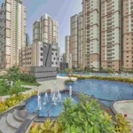 Prestige-High-Fields