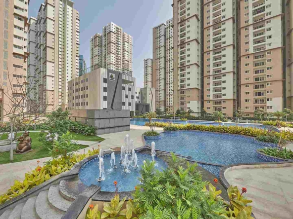 Prestige-High-Fields