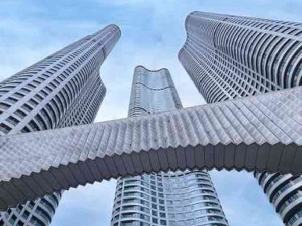 highlight_2b (2) (1)