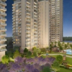 Ace-Starlit-Noida