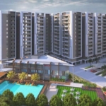 DSR Highland Greenz-new