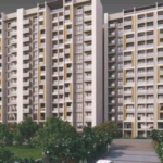 Goyal-Orchid-Platinum