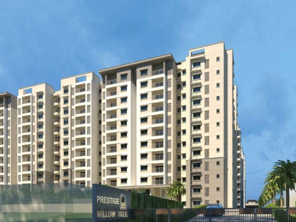 Prestige-Willow-Tree