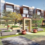 Radiance Gardenia-new